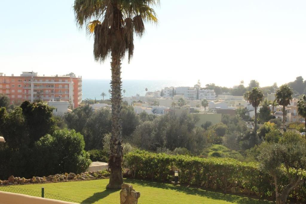 Tac - Queimada Pool & Sea Views Apartment *